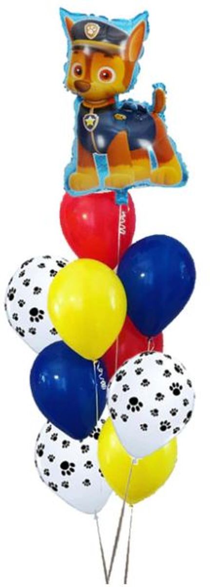 Paw Patrol Ballonnen Set | 10 stuks | Chase | Kinderfeestjes | Thema Feest | Dierendag